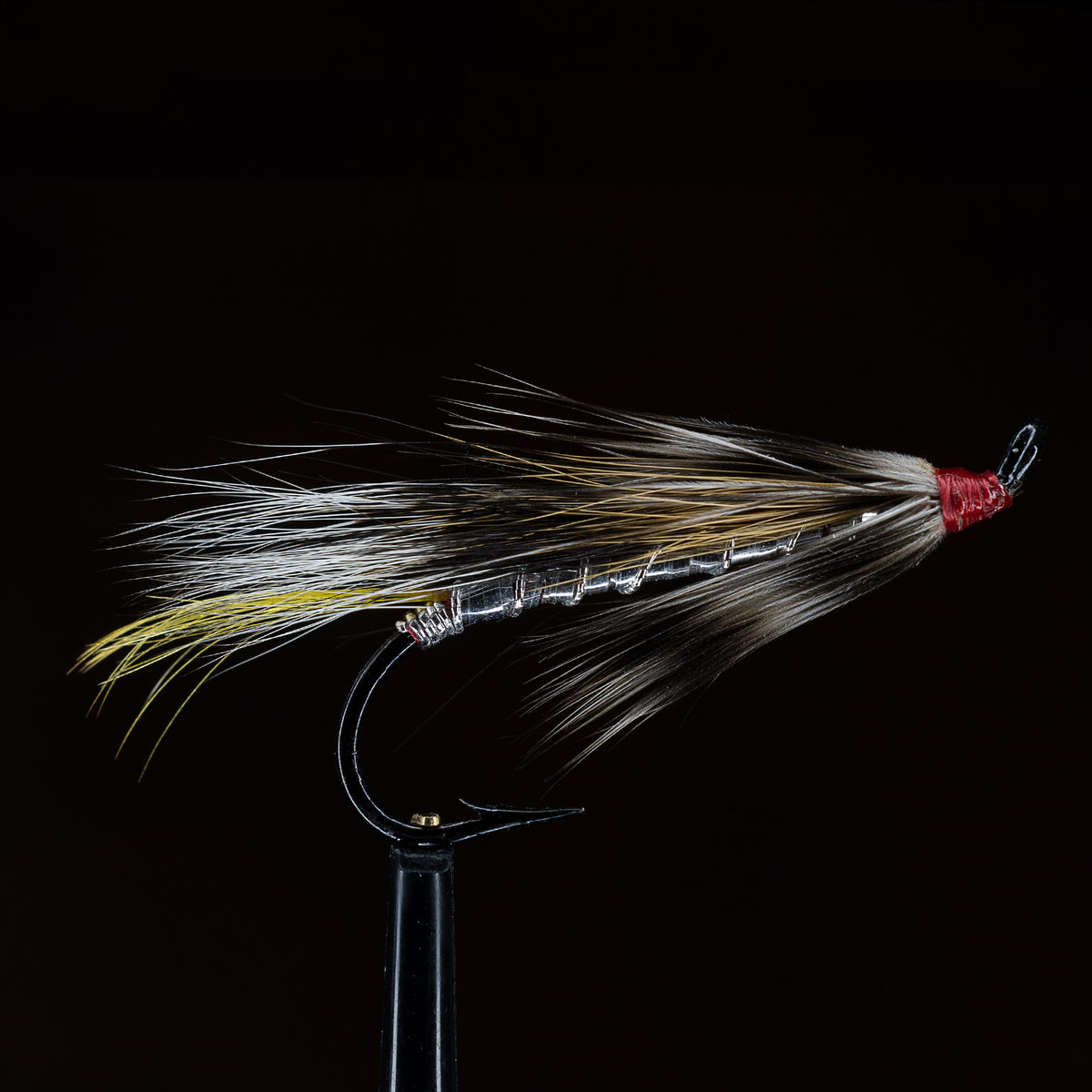 Silver Rat Fly